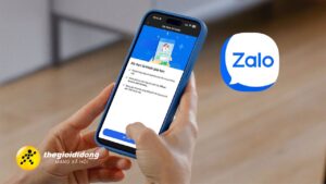 Zalo 6639226497799515702